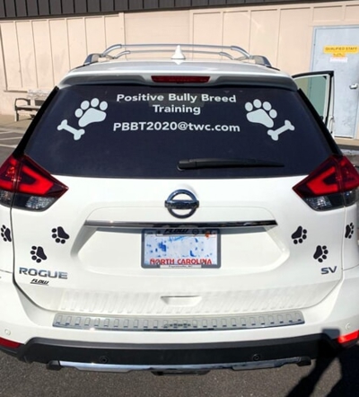 Window Graphics Photo